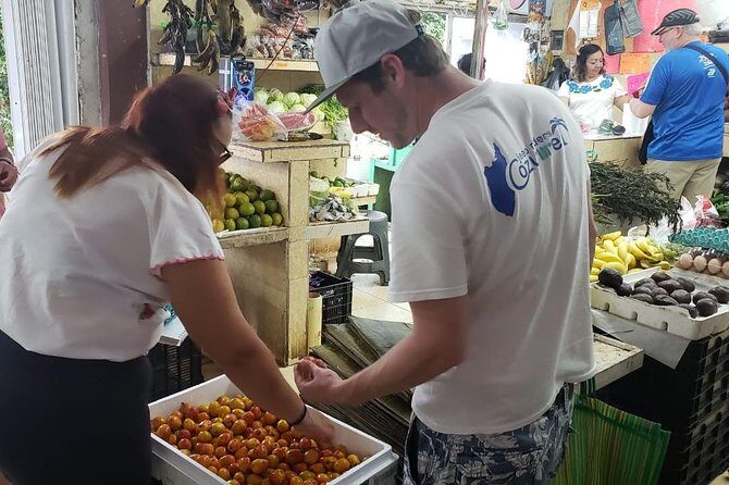 Traditional Family Kitchen in Cozumel - The Sum Up