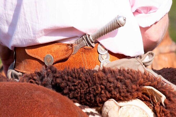 Traditional Gaucho Festival Full Day Tour from Buenos Aires - Who Will Enjoy This Tour?