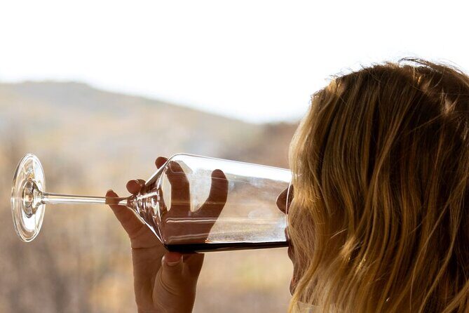 Traditional Greek COOKING class and Wine Tasting in Rhodes - Who Will Love This Tour?