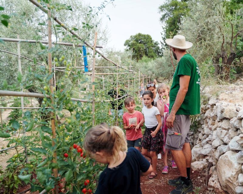 Traditional Greek Cooking Class @ Lefkada Micro Farm - The Sum Up: Who Should Consider This Tour?