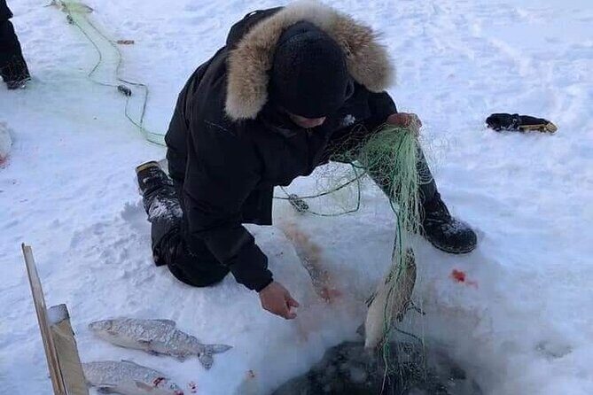 Traditional Ice Fishing with Net Pull and Lunch - An In-Depth Look at the Tour Experience