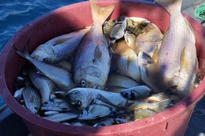 Traditional Mengo Fishing & fish picnic Hvar - A Genuine Taste of Dalmatia’s Fishing Heritage on Hvar