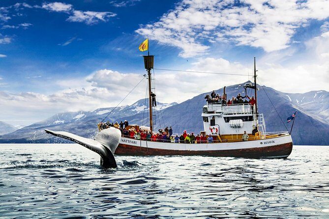 Traditional Oak Ship Whale Watching Tour From Husavik - An In-Depth Look at the Whale Watching Experience