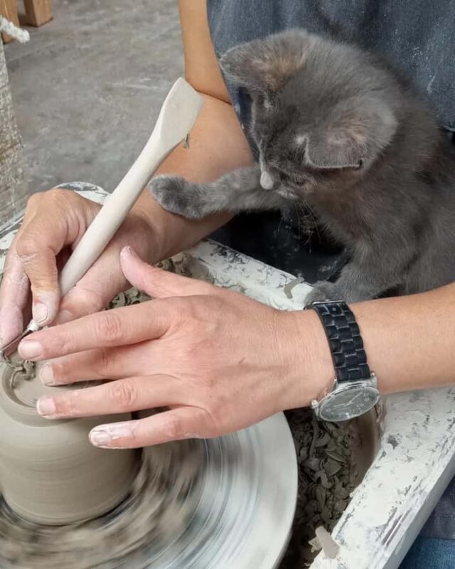 Traditional Pottery Tour - From Medellin - The Artistic Process and Cultural Context