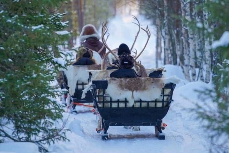 Traditional Reindeer Farm Visit with a Short Sleigh Ride - The Sum Up