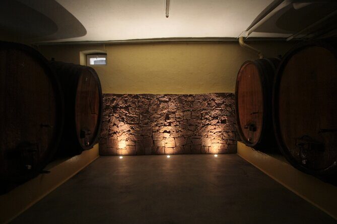Traditional visit and tasting - Key Points