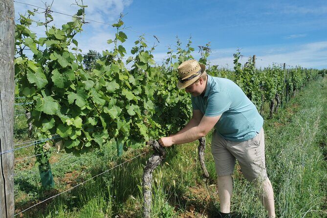 Traditional visit and tasting - What This Tour Means for You
