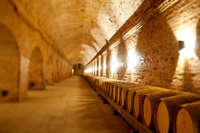 Traditional Wine Tour in Viña Cousiño Macul Official English - A comprehensive look at the Viña Cousiño Macul experience