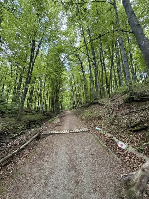 Trail Running Adventure - Trail Running Adventure: A Unique Way to Experience Sofia’s Natural Beauty