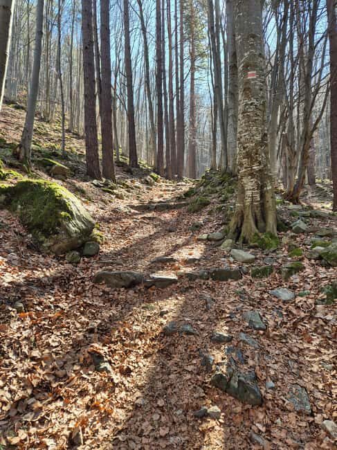 Trail Running Adventure - Frequently Asked Questions