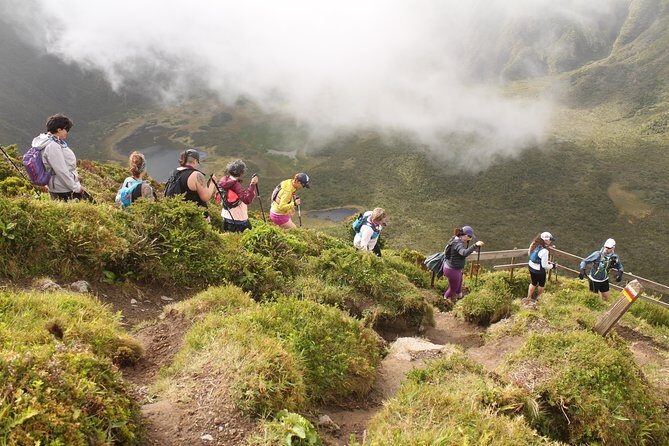 Trail Running private tour in Faial - An In-Depth Look at the Faial Trail Running Experience