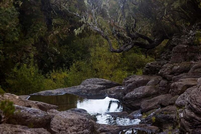 Trail to Wind Lagoon  Explore Levada do Alecrim - Frequently Asked Questions