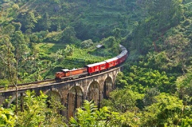 Train Tickets from Ella to NuwaraEliya (Nanuoya) - Ella to Nuwara Eliya Train Tickets: A Scenic Journey Through Sri Lanka’s Tea Country