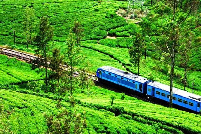 Train Tickets from Nanuoya (NuwaraEliya) to Ella - Scenic Train from Nanu Oya to Ella: An Authentic Sri Lankan Journey
