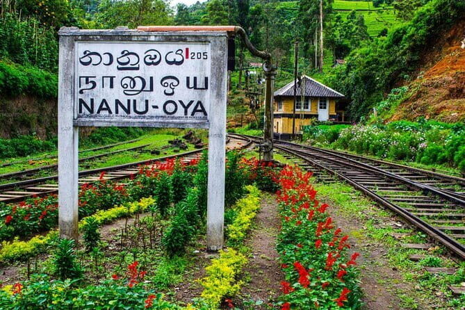Train Tickets Reservation from Nuwara Eliya to Kandy or Colombo - Key Points
