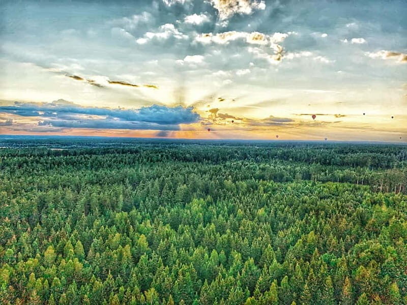 Trakai Hot Air Balloon Flight - Trakai Hot Air Balloon Flight: A Unique View of Lithuania’s Treasures