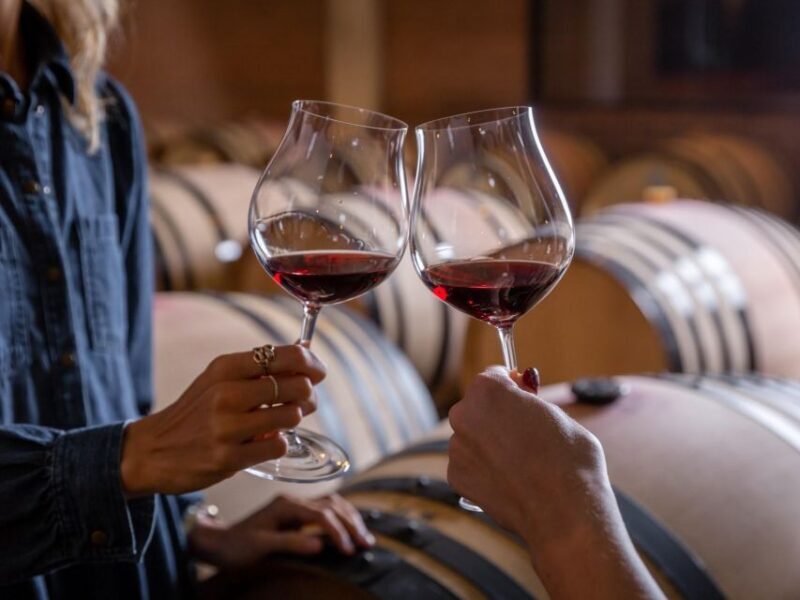 Tramin/Termeno: Winery Tour & Wine Tasting, J. Hofstätter - Tramin/Termeno: Winery Tour & Wine Tasting, J. Hofstätter — A Genuine Taste of Alto Adige