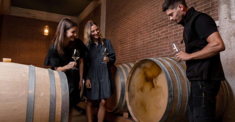 Tramin/Termeno: Winery Tour & Wine Tasting, J. Hofstätter - Key Points