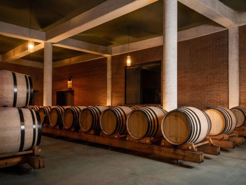 Tramin/Termeno: Winery Tour & Wine Tasting, J. Hofstätter - Why This Tour Offers Great Value