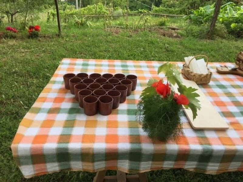 Tramonti: "Re Fiascone" Tomato Tasting - Key Points
