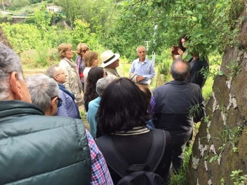 Tramonti: "Re Fiascone" Tomato Tasting - A Complete Look at the Re Fiascone Tomato Tasting