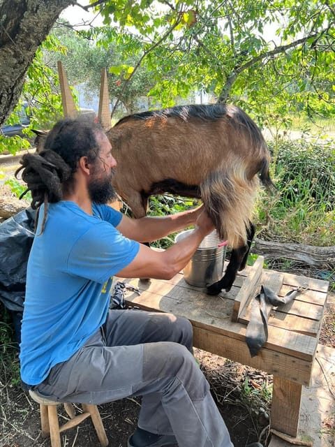 Trancoso: Farm eco-Tour with Tasting - The Value of a Farm Eco-Tour