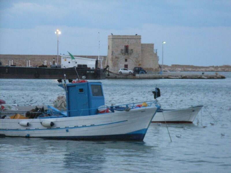 Trani: Walking Tour - Final Thoughts: Is This Tour Right for You?