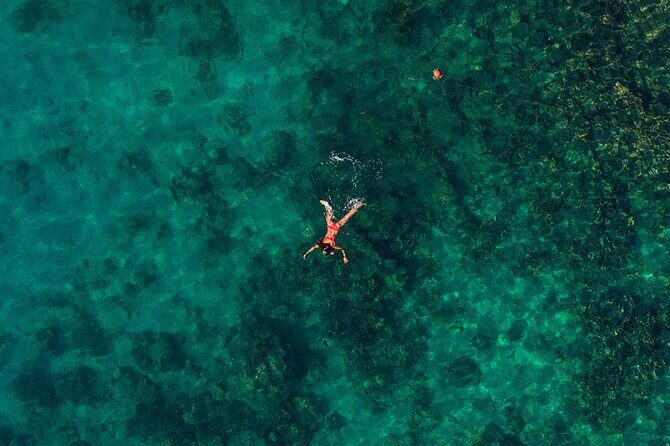 Tranquila Beach and Aquarium Day Tour - A Closer Look at the Tour Experience