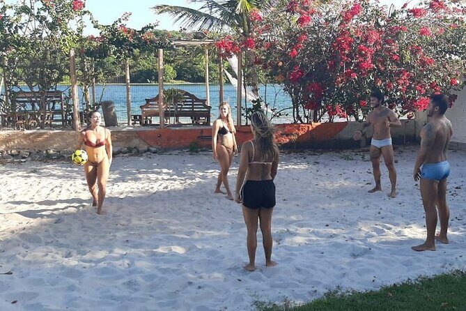 Transfer and Tour in Natal's South Coast - The Sum Up