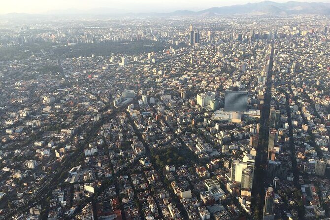 Transfer & assistance one-way from/to Mexico City Airport/hotel - The Realities of the Transfer: What to Expect