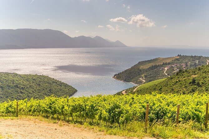 Transfer Dubrovnik to Split with Sightseeing in Ston Town - Key Points
