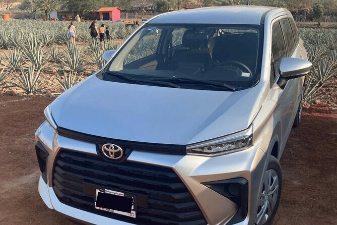 Transfer from International Airport to Tequila Jalisco - What to Expect During Your Transfer