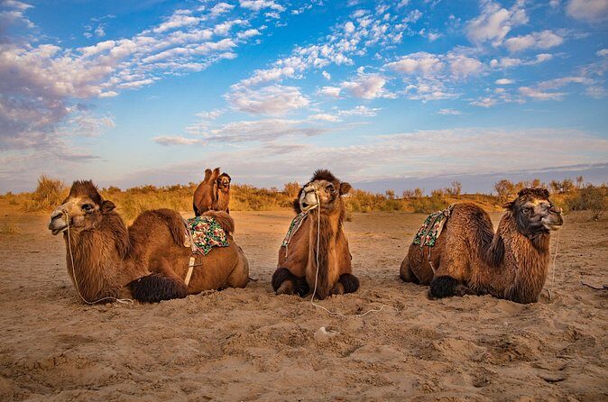 Transfer from Khiva to Bukhara by Fortresses - FAQ: Practical Questions Answered