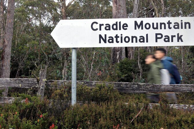 Transfer from Launceston to Cradle Mountain - A Detailed Look at the Launceston to Cradle Mountain Transfer
