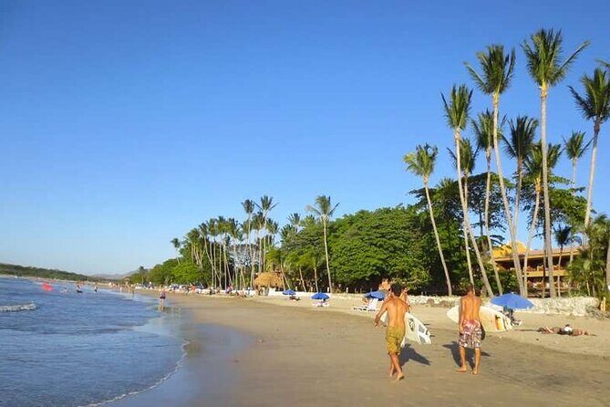 Transfer from Liberia airport to Flamingo, Westin Conchal, Planet Hollywood - Key Points