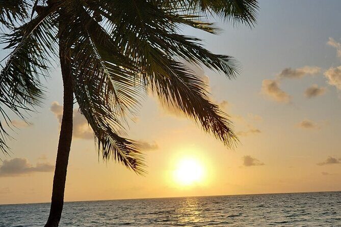 Transfer from Maceió to São Miguel dos Milagres - Final Thoughts: Who Should Book This Transfer?