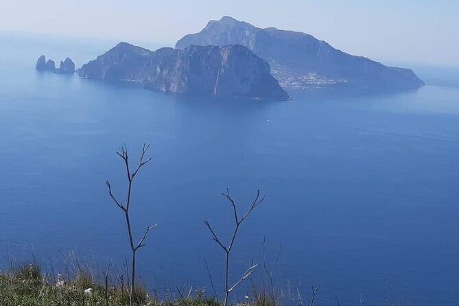 Transfer from Naples airport or station to Nerano (Massalubrense) - A close look at this Naples-to-Nerano transfer experience
