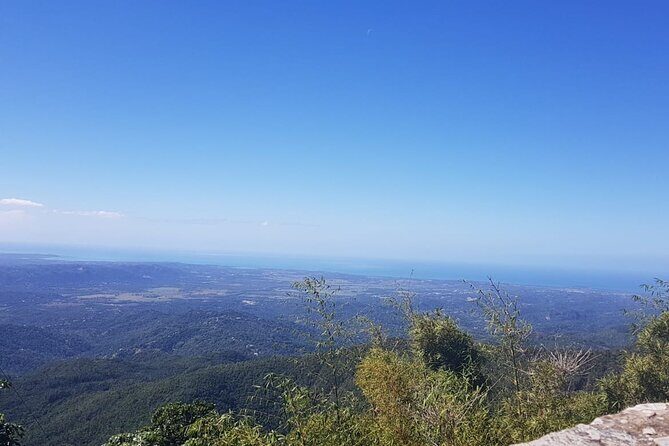 Transfer from San Juan, Rio Grande, Loiza, Luquillo or return - Why We Think This Service Is a Good Value