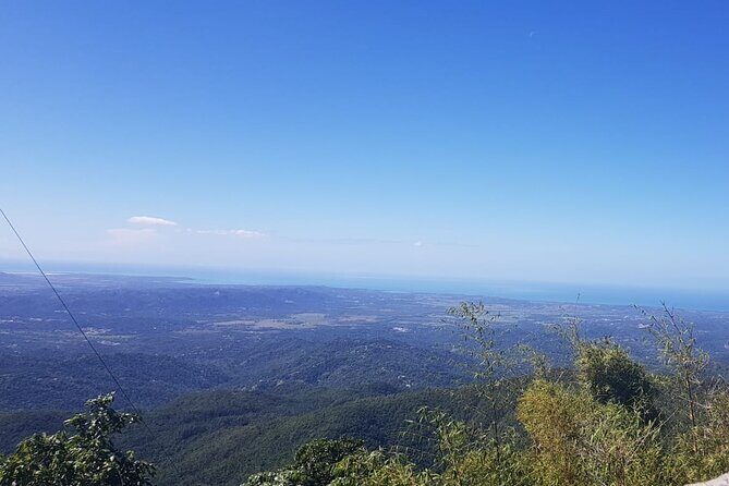 Transfer from San Juan to Ceiba Ferry or Ceiba to San Juan - FAQs about the Transfer Service