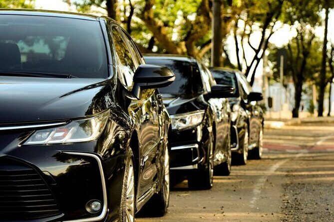 Transfer from São Paulo to Port of Santos - Key Points