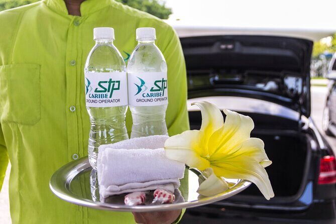 Transfer in Luxury Mercedes Benz Minivan - Wrapping It Up