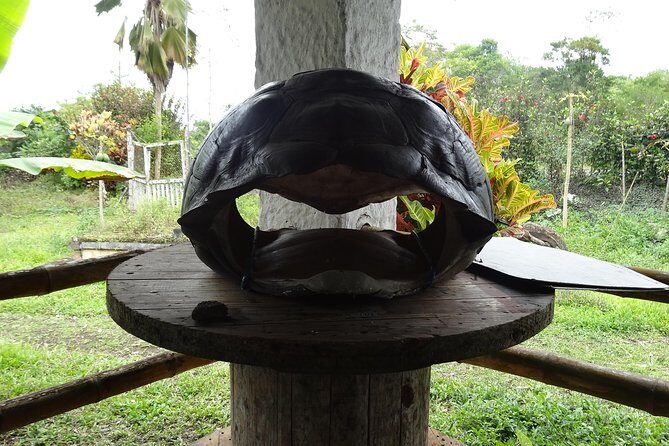 Transfer in + Visit to the giant turtle nature reserve - An Authentic Glimpse of Galapagos: Transfer & Giant Turtle Reserve Tour