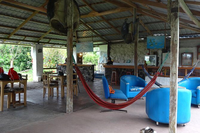 Transfer in + Visit to the giant turtle nature reserve - Pricing and Value Analysis