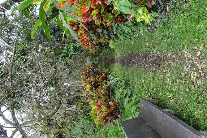 Transfer in + Visit to the giant turtle nature reserve - The Sum Up