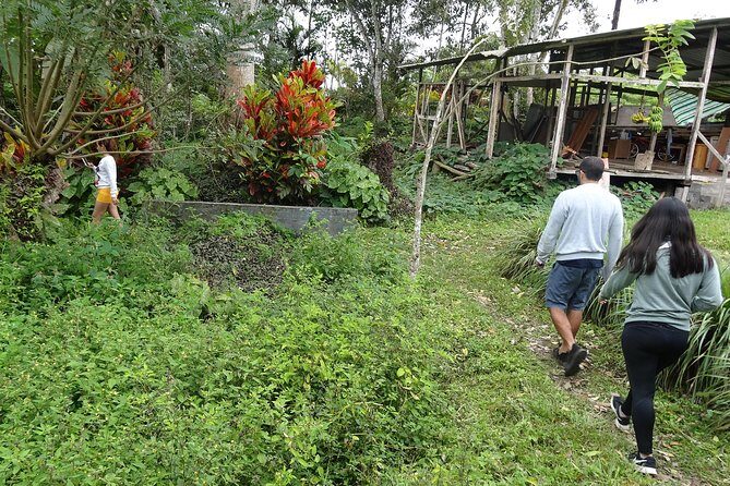 Transfer in + Visit to the giant turtle nature reserve - Frequently Asked Questions