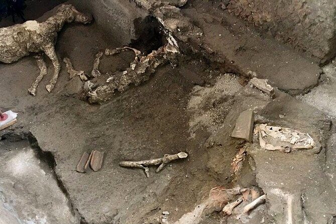 Transfer Naples Sorrento with stop Pompeii - Final Thoughts