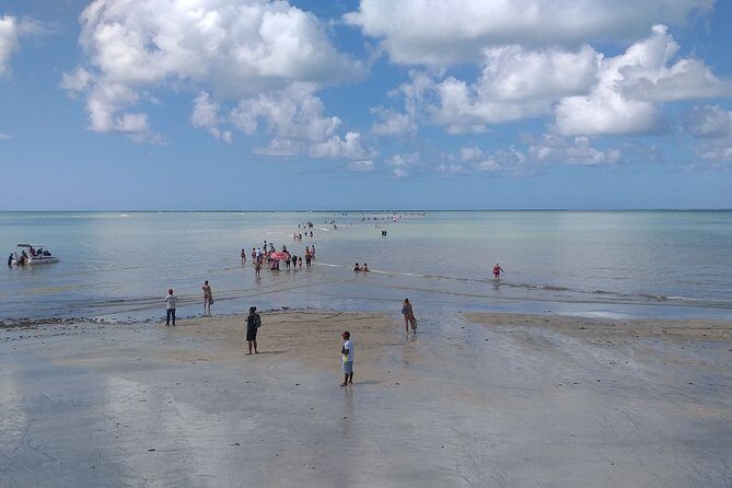 Transfer Recife Airport To Maragogi/AL 1 to 4 people - Key Points