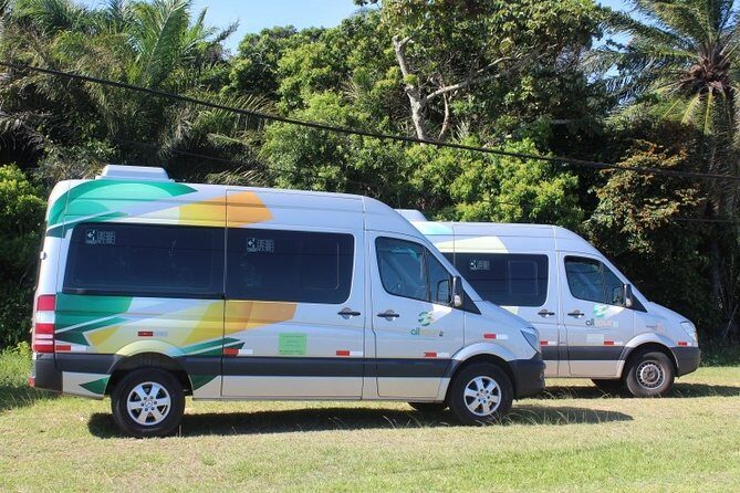 Transfer Salvador Airport / Hotel in Salvador - Transfer Salvador Airport / Hotel in Salvador: A Practical, Friendly Welcome to Bahia