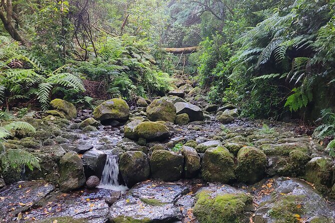 Transfer to Caldeirão Verde Levada Self-Guided Hike Queimadas - Why This Tour Offers Great Value