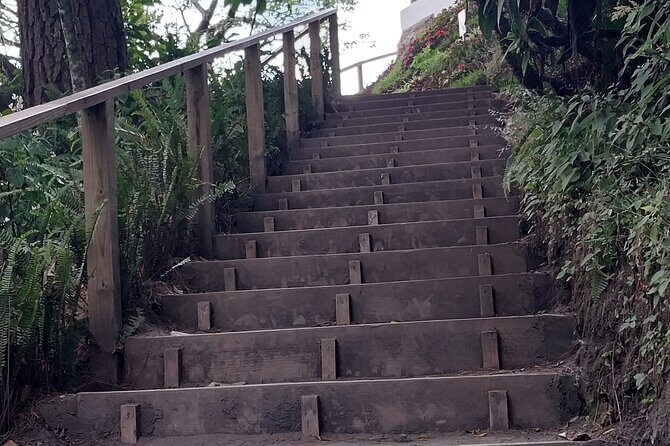 TRANSFER TO EL BOQUERON SAN SALVADOR NATURAL PARK VOLCANO - The Detailed Experience: What to Expect